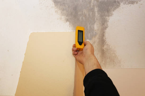 Mold Odor Removal Services in Thomaston, GA